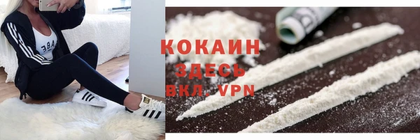 СК Волосово