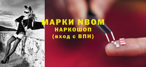 PSILOCYBIN Вязьма