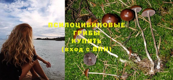 PSILOCYBIN Вязьма
