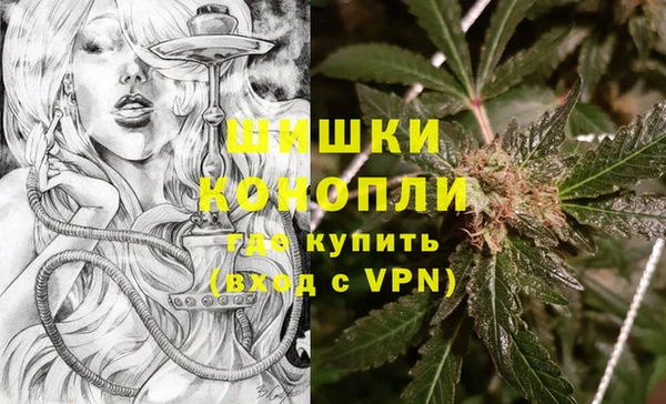 PSILOCYBIN Вязьма