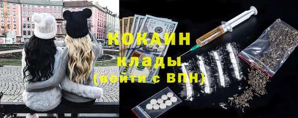 мет Бородино