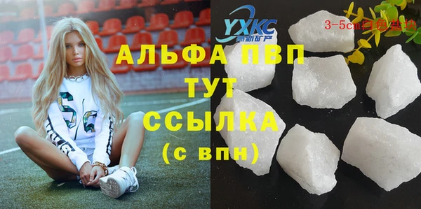 сатива Сафоново