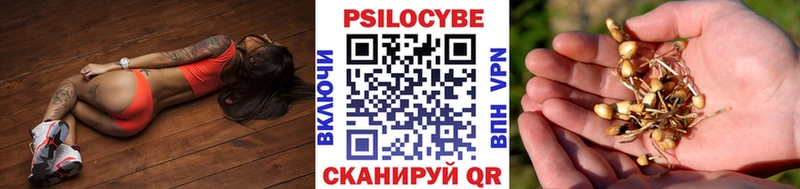 Псилоцибиновые грибы MAGIC MUSHROOMS где продают Дюртюли